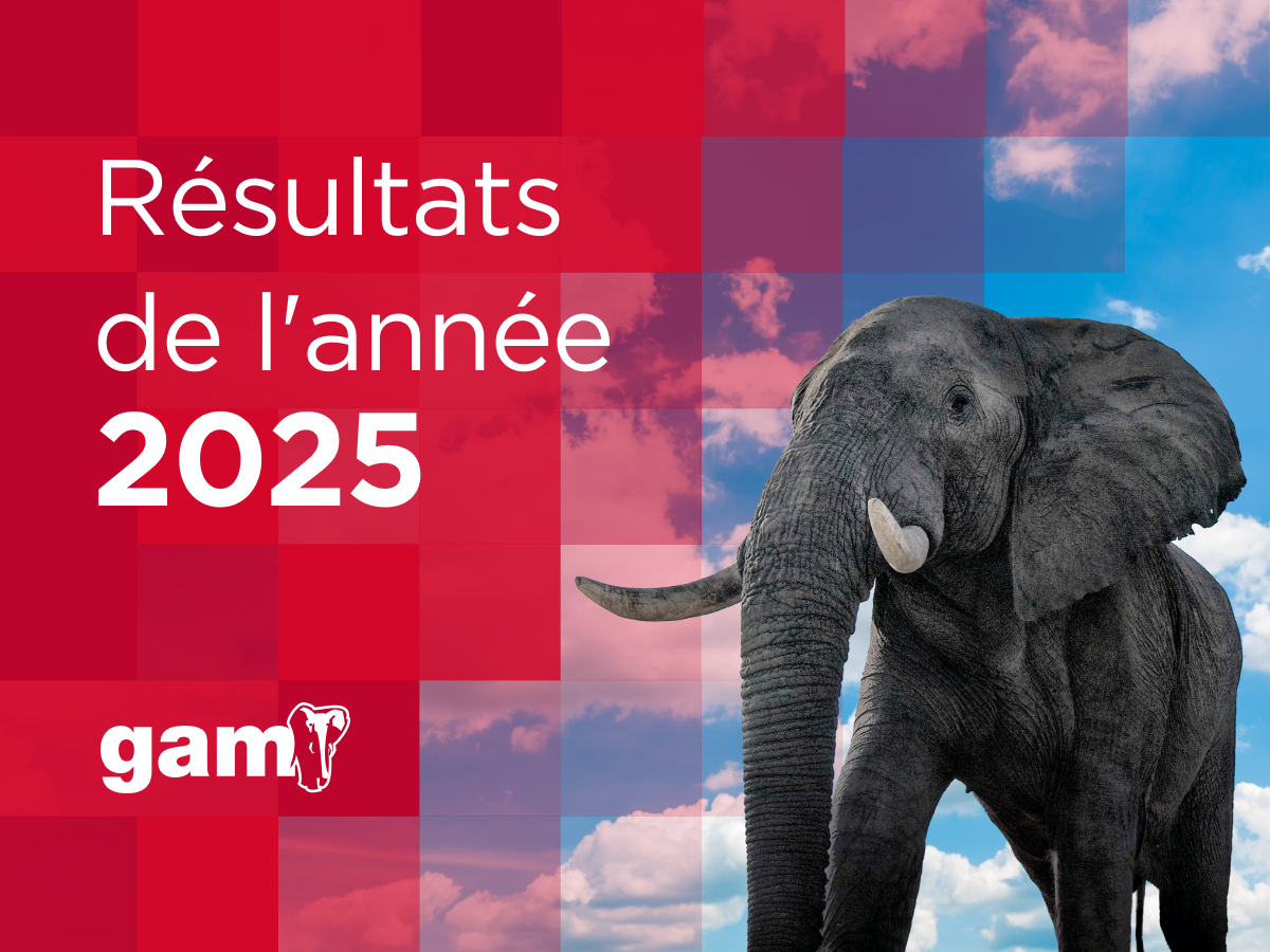 GAM augmente de 50 % son bénéfice net en 2025 et atteint un chiffre d’affaires de 316,1 M€