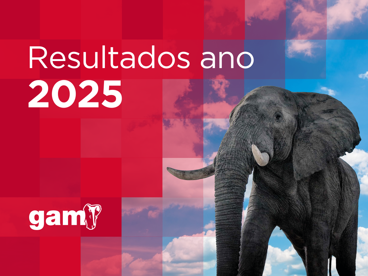 A GAM aumenta em 50% o seu lucro líquido em 2025 e atinge receitas de 316,1M€